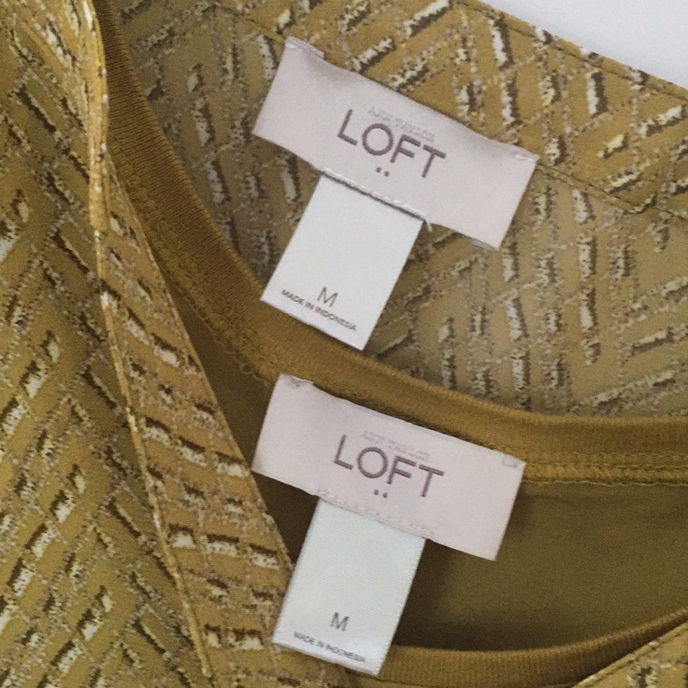 Loft two piece blouse. Matching separate tank